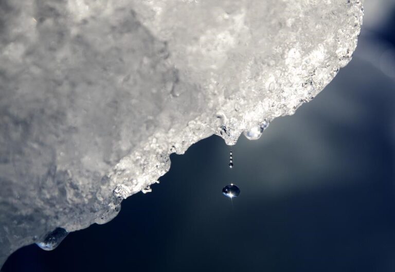 Antarctica, Arctic hit temperatures 40 C and 30 C hotter than normal