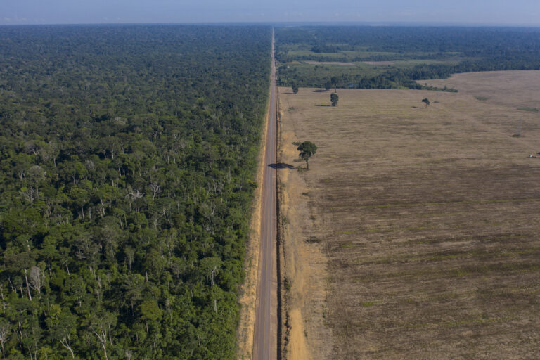 Deforestation of Amazon rainforest hits record highs at start of 2022, says Brazil