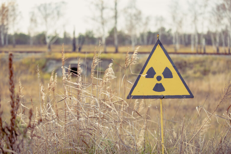 Russian soldiers disturbed radioactive dust in Chornobyl’s ‘Red Forest,’ workers say