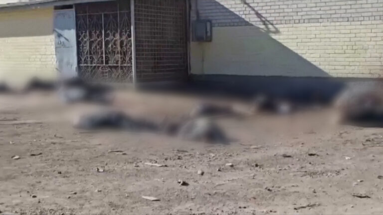 Ukraine says 10 civilians shot dead by Russian forces while waiting in bread line