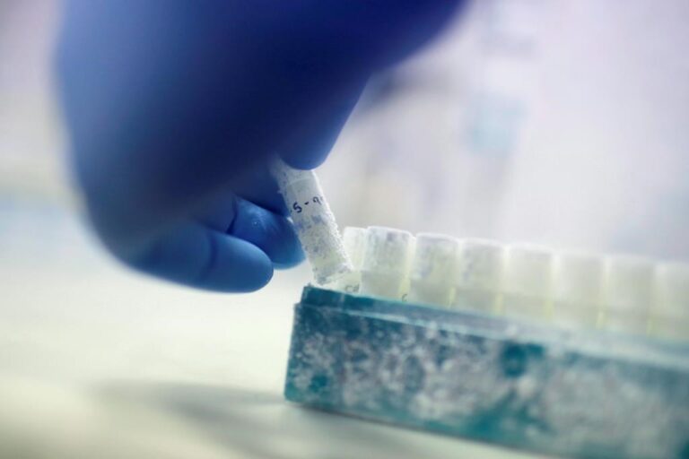 N.S. introduces refundable tax credit for fertility treatments, surrogacy costs