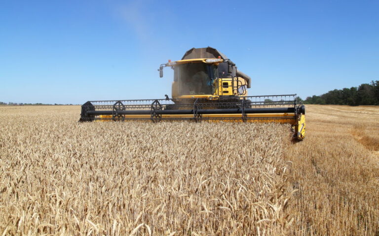 Fertilizer shortage puts world food supply at risk as sanctions nip Russia