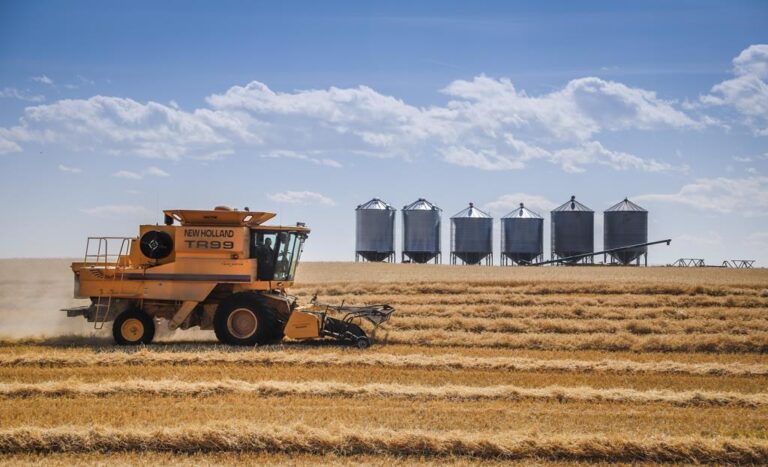 Russia’s war on Ukraine sends food prices soaring to record levels