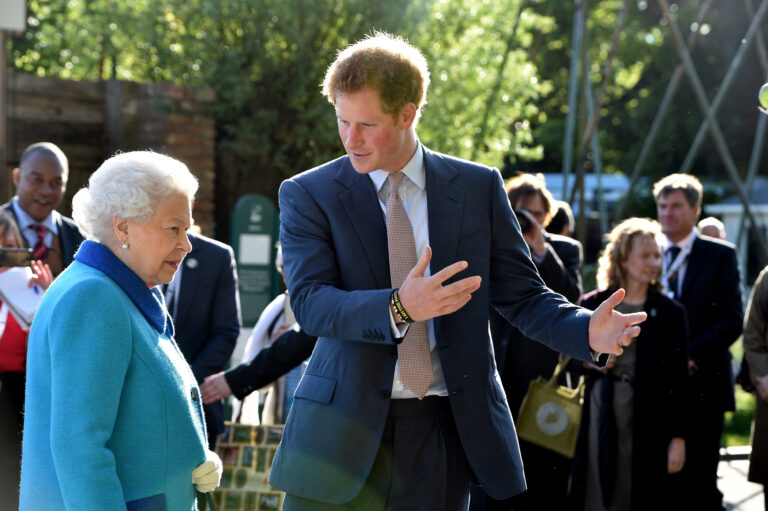 Prince Harry said he visited the Queen to make sure she’s ‘protected’
