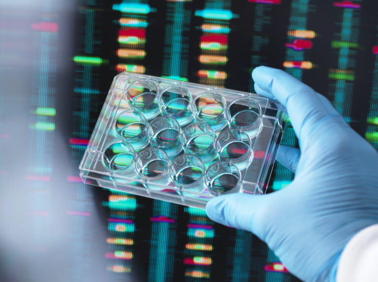 Full human genome mapped for 1st time in major scientific breakthrough