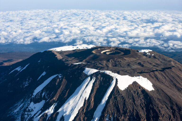 Earth Day: Climate crisis highlighted in stark Google images