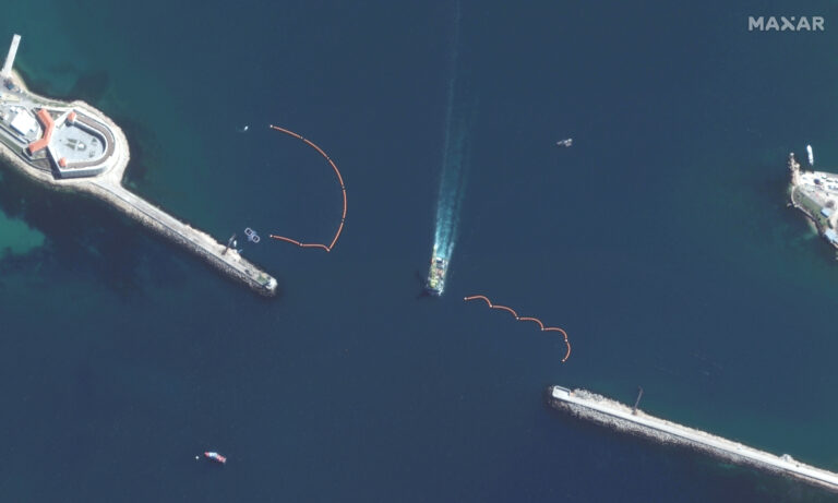 Russia using trained dolphins to guard Black Sea naval base: satellite images