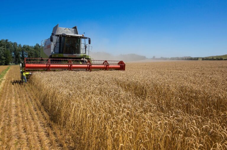 Ukraine tells Russia to ‘stop the illegal theft of grain’ as war continues