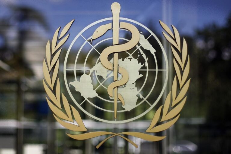 World just as vulnerable to future pandemics after COVID: WHO panel