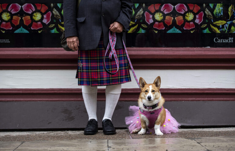 Royal ‘ruff: Corgi lovers reflect on breed’s rise as Platinum Jubilee nears