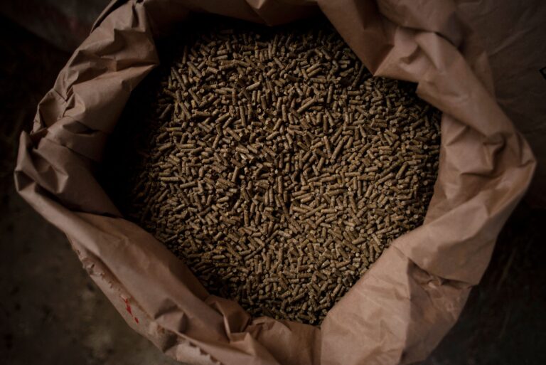 25M tonnes of trapped grain in Ukraine affecting global food prices: UN