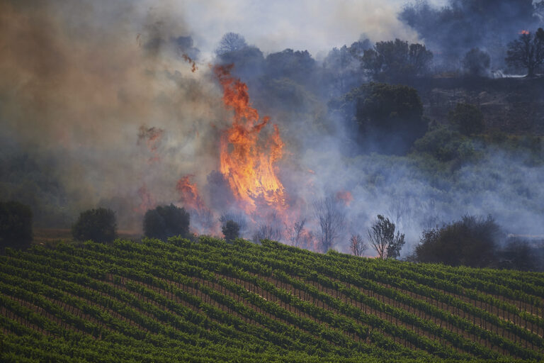 Europe heat wave: Firefighters in Spain, Germany struggle to contain wildfires