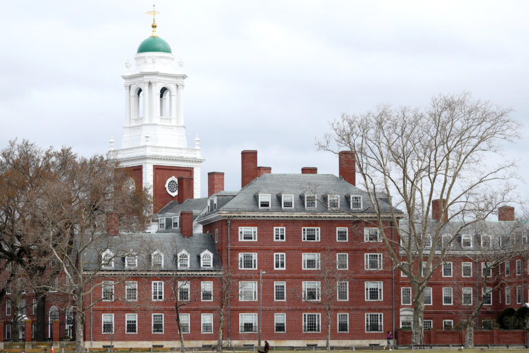 Harvard holds remains of 7,000 Indigenous and enslaved persons: report