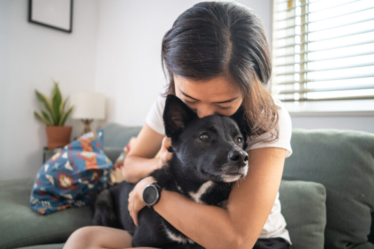 Infected with COVID-19? Cuddling your pet cat or dog can make them sick, says study
