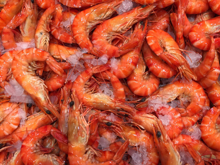 Tri Star Seafood Supply Ltd. brand live spot prawns recalled due to norovirus risk
