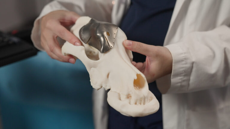 How 3D printers are building a better world