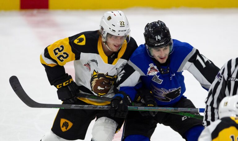 Saint John Sea Dogs skate past Hamilton Bulldogs 6-3 to win Memorial Cup