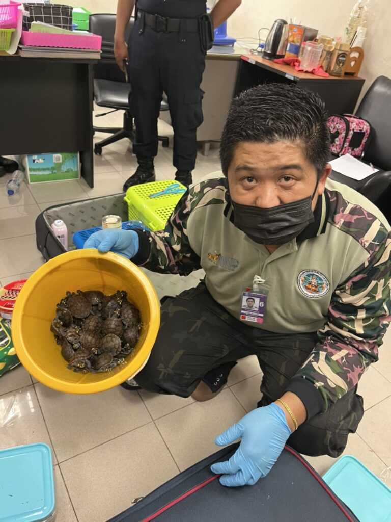 109 live animals found in women’s luggage in wildlife smuggling bust