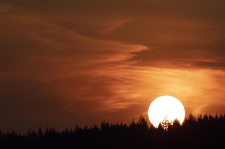 UK heatwave: Authorities to hold emergency meeting after 1st ever ‘red’ alert