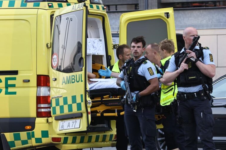 Denmark mall shooting likely not terror related, gunman acted alone: police