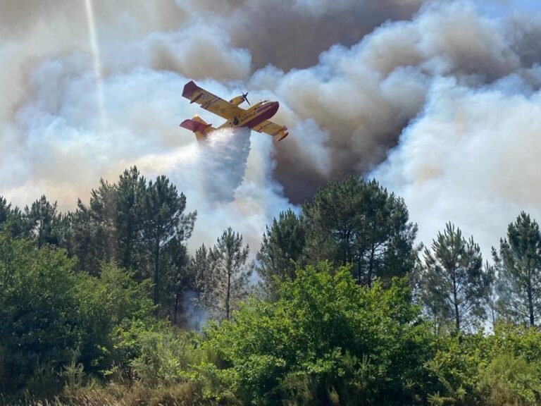 Wildfires continue to ravage France, Spain as temperature related deaths soar
