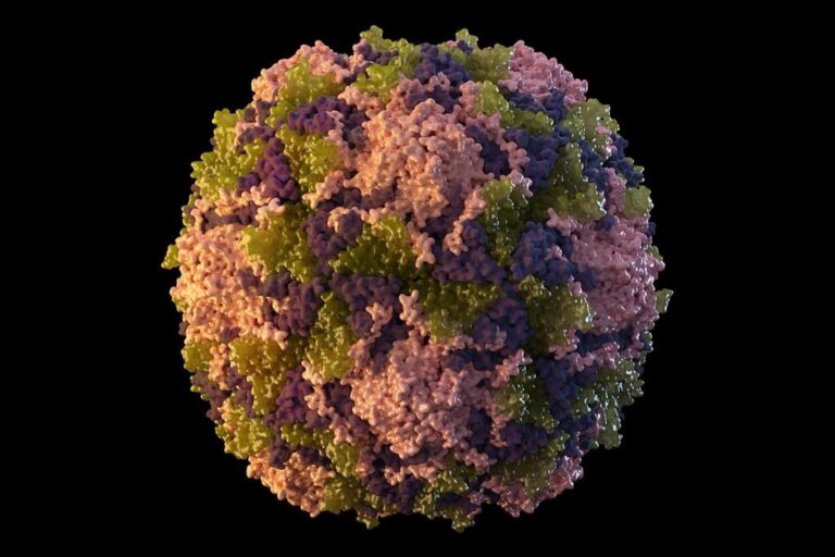 After 1st U.S. polio case in a decade, doctors in Canada stress vaccination