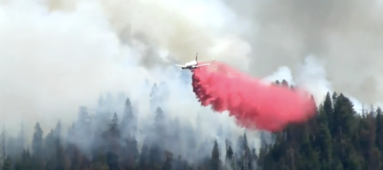 Saving the sequoias: Yosemite wildfire threatens millennia-old trees