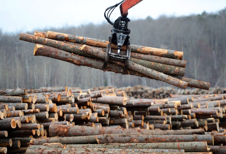 Canada has right to impose tariffs on U.S. imports in the future, WTO decides