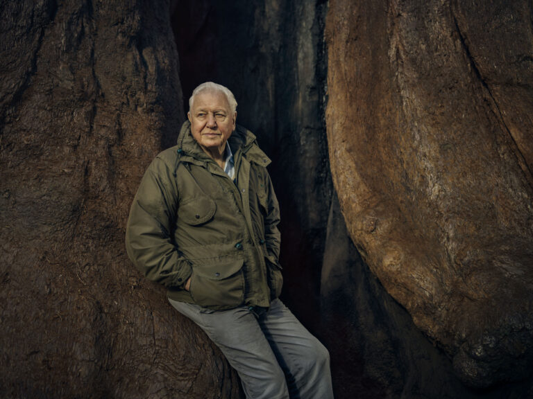 ‘The Green Planet’: David Attenborough explores the plant world in lush BBC Earth series