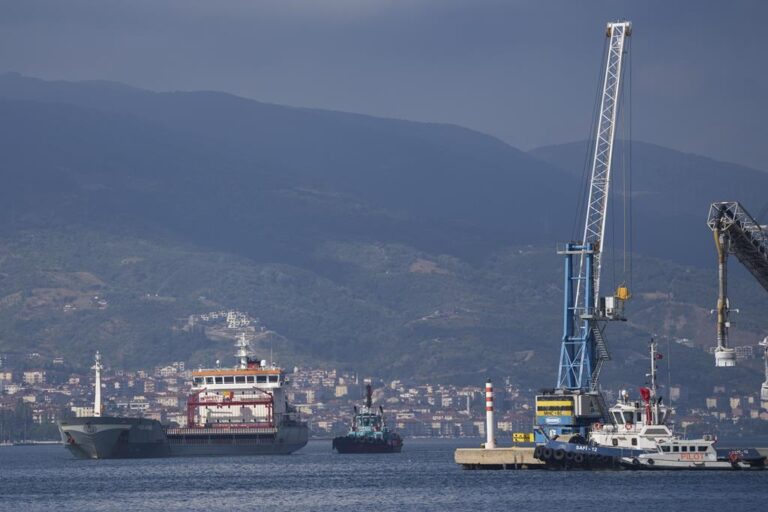 1st ship carrying Ukrainian wheat to be exported under UN deal arrives in Turkey
