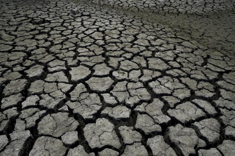 Climate hazards make 58% of infections diseases in people worse, study shows