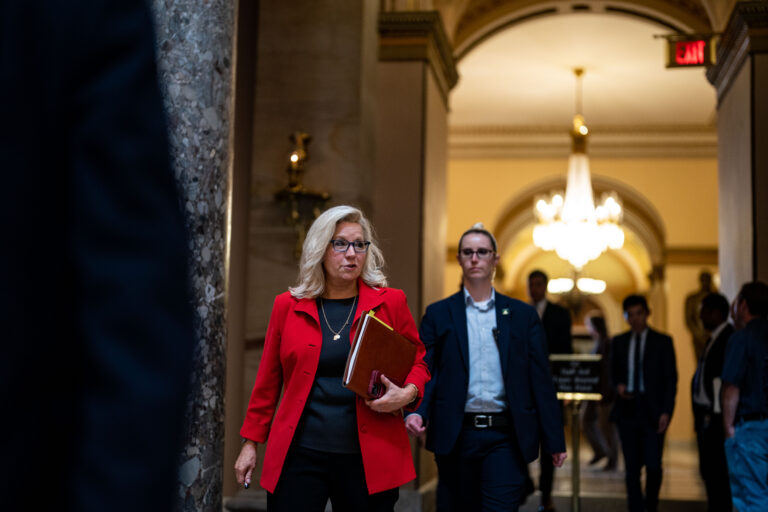 Liz Cheney fighting to save seat as Trump tested in Wyoming and Alaska