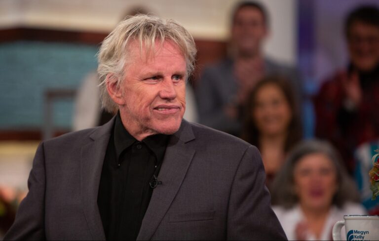 Gary Busey faces sex offence charges after horror convention appearance