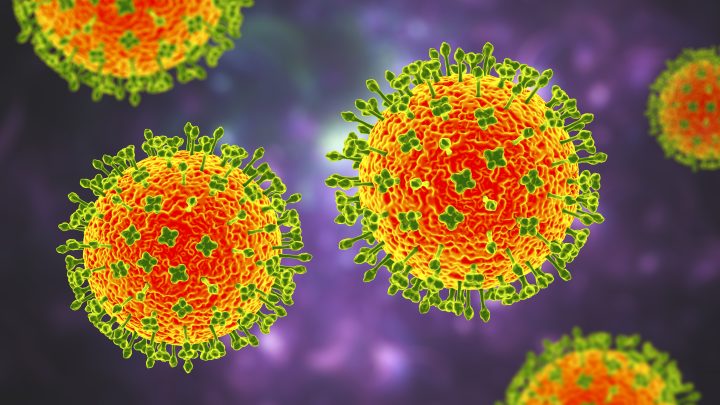 New Langya virus detected in China. Here’s what we know so far