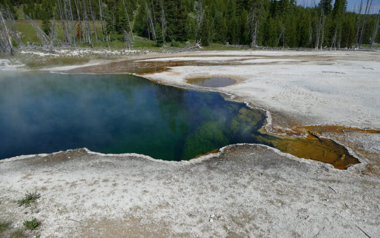 Human foot inside shoe found in Yellowstone Park hot spring