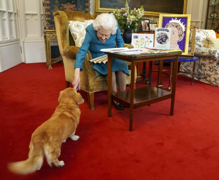 What will happen to Queen Elizabeth II’s beloved pet dogs now?