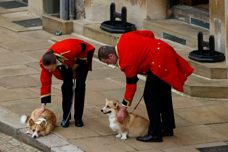 The queen’s beloved corgis and pony brought out to say goodbye during funeral