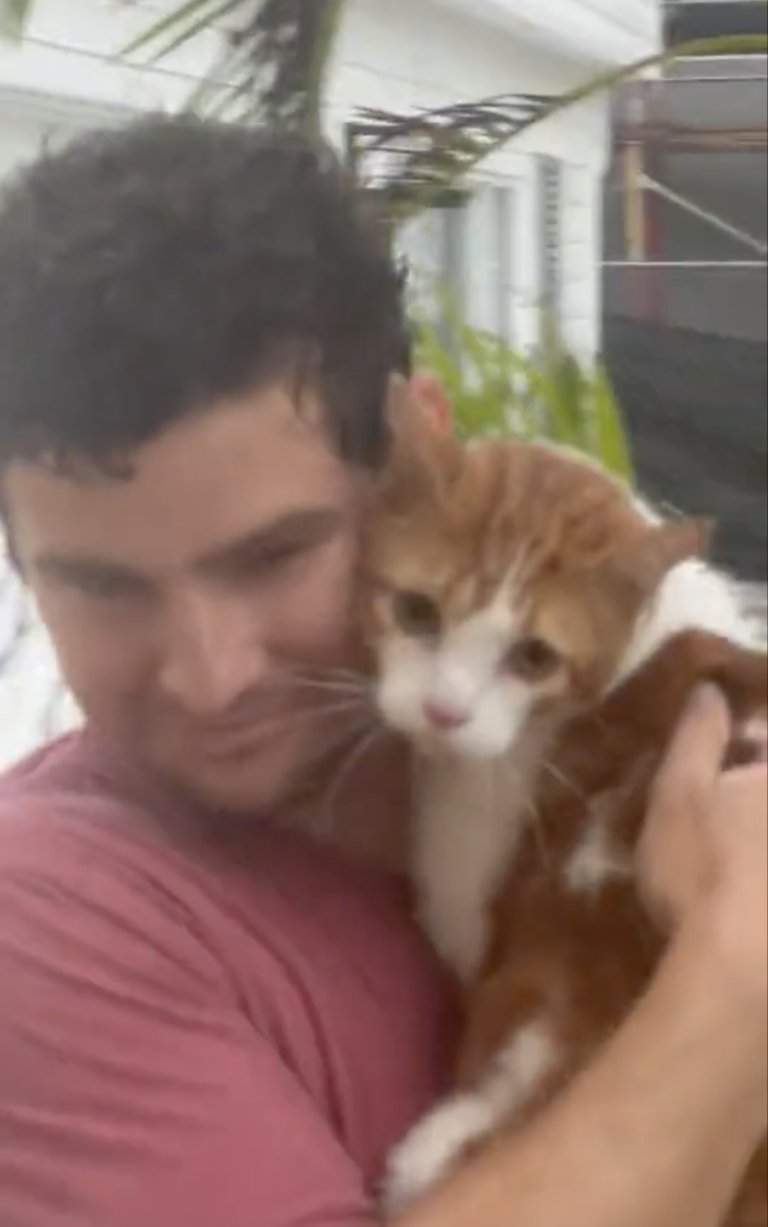 Help meow-t! Florida man saves stranded cat from Hurricane Ian surge