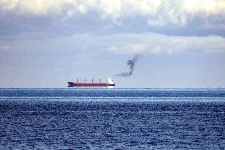 Ukraine grain leaves ports despite Russian pullout from deal