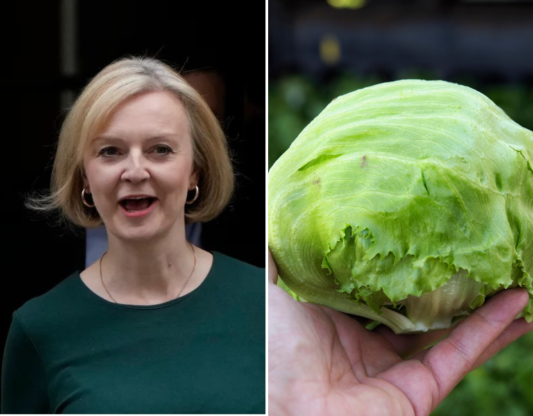 Will Liz Truss outlast a head of lettuce? U.K. PM the butt of livestream joke