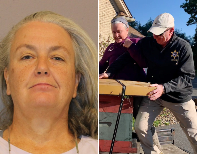 Sting operation: Woman accused of unleashing swarm of bees on police in Massachusetts