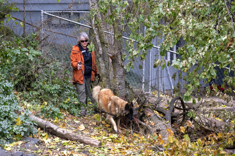 Idaho student killings: Police dispel rumours about stalker, skinned dog