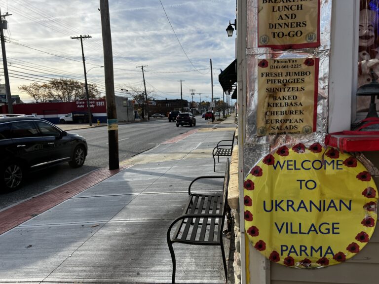 ‘Ukraine’s very survival is at stake’: How Ukrainian-Americans could influence the U.S. midterms
