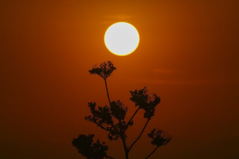 UN head warns of ‘climate hell’ as May sets temperature record