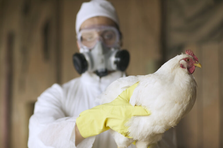 U.S. confirms 1st severe bird flu case, California declares state of emergency