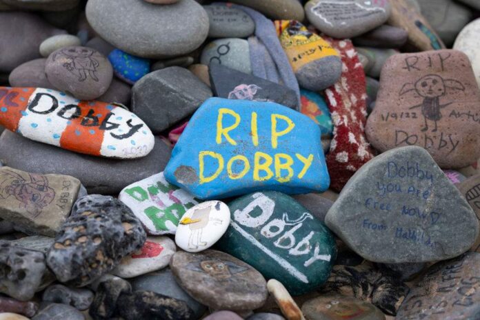 Harry Potter fans revolt over power cable route near Dobby fictional grave