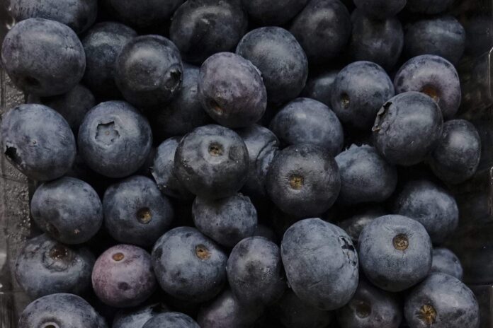 ‘No indication’ U.S. blueberry recall for death risk impacts Canada: CFIA