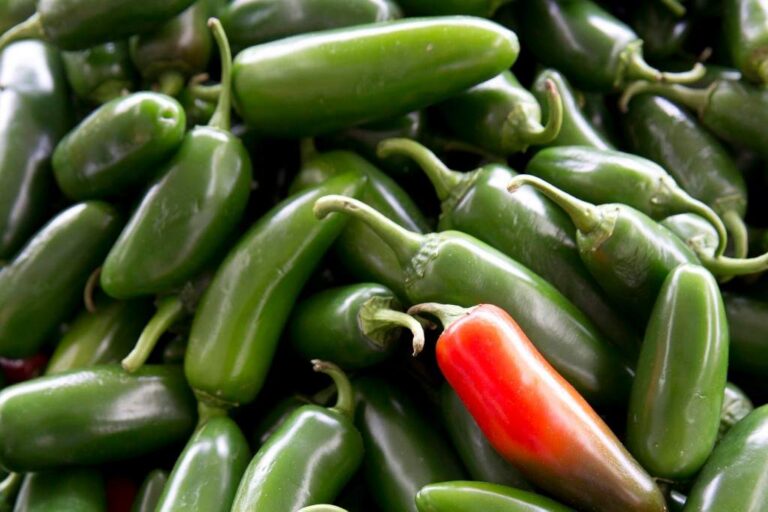 U.S. salmonella outbreak linked to jalapenos spreads in 27 states
